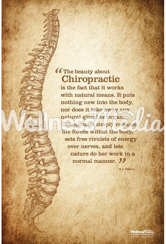 the beauty of chiropractic poster chiropractic wall charts