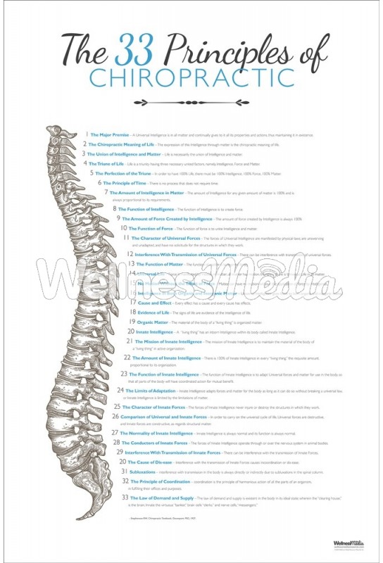 Chiropractic 33 Principles Poster