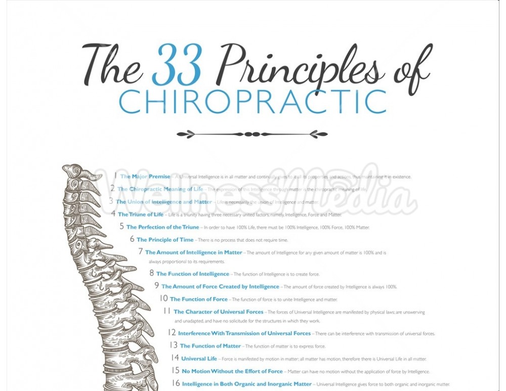 Chiropractic 33 Principles Poster