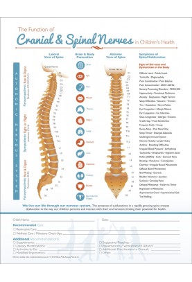Chiropractic Kids Spinal Nerve ROF Handout