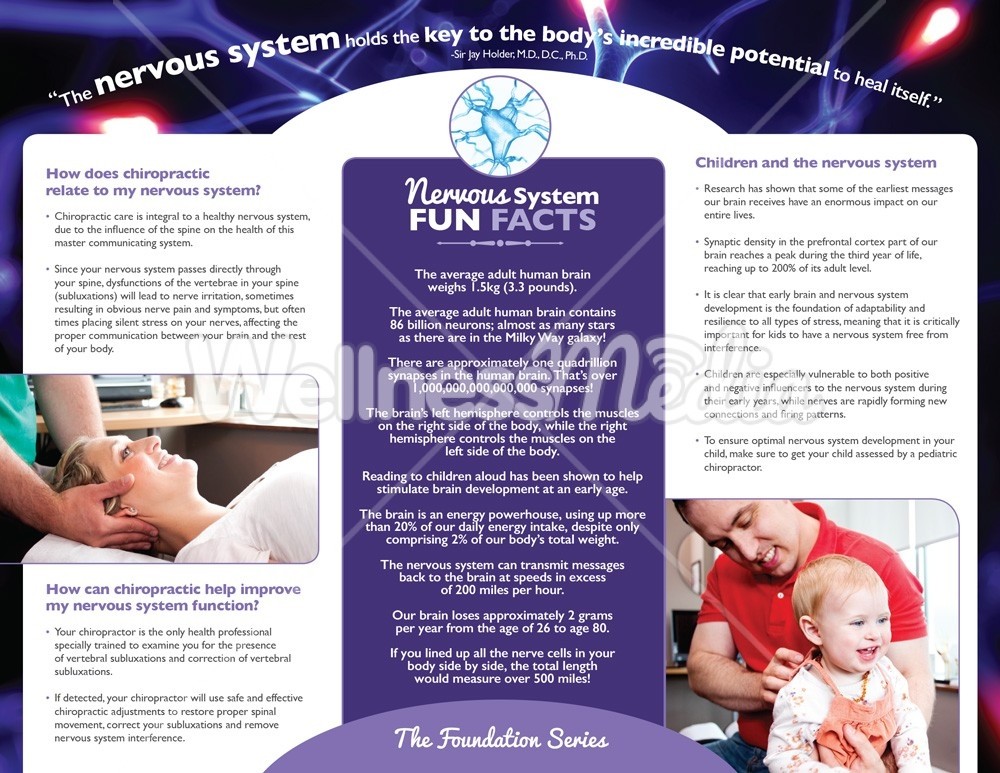 chiropractic brochure