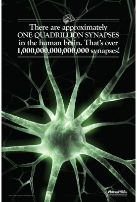 One Quadrillion Synapses Poster