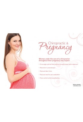 Chiro Care During Pregnancy Poster