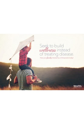 Seek to Build Wellness Poster
