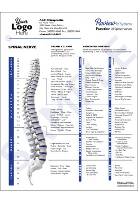 spinal nerve function intake forms chiropractic spinal nerve chart