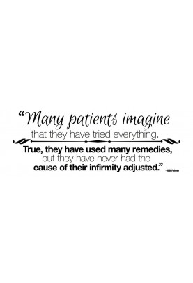 Cause of Their Infirmity Decal - 30" x 11"