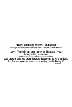 One Cause One Cure Decal - 60" x 20"