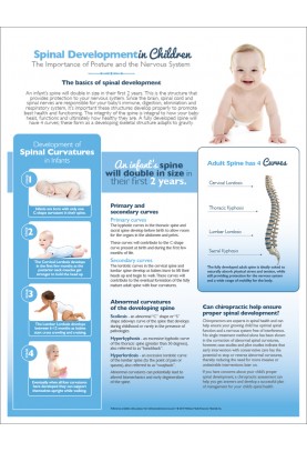 Child Spinal Development Handout