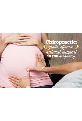 Chiropractic Natural Pregnancy Support