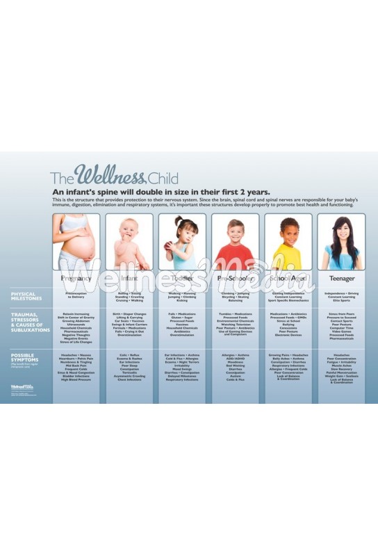The Wellness Child - Stages of Development Poster The Wellness Child - Stages of Development Poster