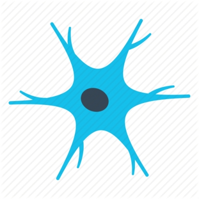 3 Key Autonomic Nervous System Discussion Points 3 Key Autonomic Nervous System Discussion Points